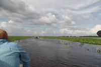 Los Llanos - Rundreise Venezuela – Natur und Abenteuer pur