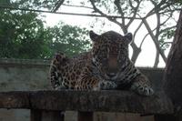 Posada Dona Barbara - Rundreise Venezuela – Natur und Abenteuer pur