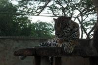 Posada Dona Barbara - Rundreise Venezuela – Natur und Abenteuer pur