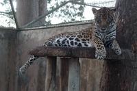 Posada Dona Barbara - Rundreise Venezuela – Natur und Abenteuer pur