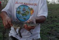 Posada Dona Barbara - Rundreise Venezuela – Natur und Abenteuer pur