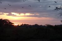 Posada Dona Barbara - Rundreise Venezuela – Natur und Abenteuer pur