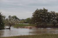 Posada Dona Barbara - Rundreise Venezuela – Natur und Abenteuer pur