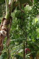 Choroni - Karibik - Rundreise Venezuela – Natur und Abenteuer pur