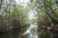 Choroni - Karibik - Rundreise Venezuela – Natur und Abenteuer pur