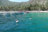 Choroni - Karibik - Rundreise Venezuela – Natur und Abenteuer pur