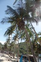 Cepe bei Choroni - Karibik - Rundreise Venezuela – Natur und Abenteuer pur