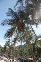 Cepe bei Choroni - Karibik - Rundreise Venezuela – Natur und Abenteuer pur