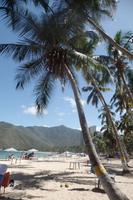 Cepe bei Choroni - Karibik - Rundreise Venezuela – Natur und Abenteuer pur