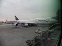 Der Siegerflieger von Brasilien