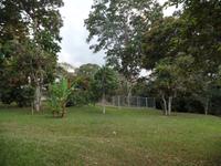 auf der Kaffeeplantage