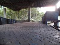 auf der Kaffeeplantage