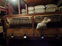 auf der Kaffeeplantage