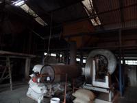 auf der Kaffeeplantage