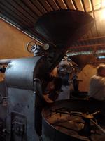 auf der Kaffeeplantage