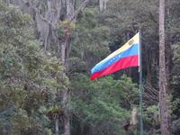 venezolanische Flagge
