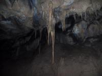 in der Guacharo-Höhle
