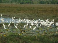 Auf dem Weg zum Hafen