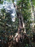 Canaima-Nationalpark