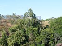 Canaima-Nationalpark
