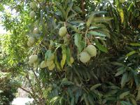 Canaima-Nationalpark