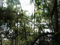 Canaima-Nationalpark