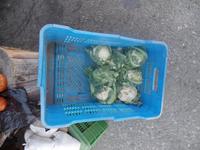 unterwegs in den Anden