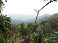 Hotel la Trucha Azul