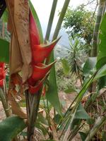 Hotel la Trucha Azul