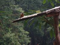 Hotel la Trucha Azul