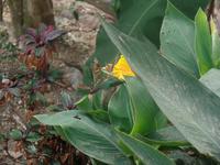 Hotel la Trucha Azul