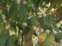 Hotel la Trucha Azul