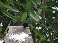 Hotel la Trucha Azul