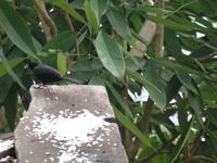 Hotel la Trucha Azul