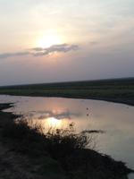 Sonnenuntergang im El Cedral