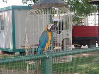 Posada  Dona Barbara