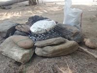 unser Mittagesen - Thunfisch