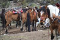 Reitausflug in den Anden