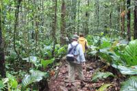 Wanderung zum Salto Angel