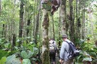 Wanderung zum Salto Angel