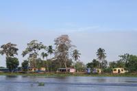 Siedlung im Orinoco Delta