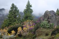 Wanderung zur Laguna Negra