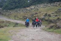 Rückkunft der Reiter