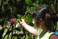 Besuch im Botanischen Garten von Mérida