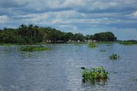 Unterwegs im Orinoco-Delta