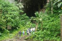 Besuch der Guacharo-Höhle