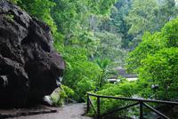 Besuch der Guacharo-Höhle