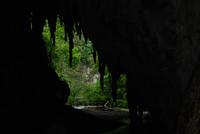 Besuch der Guacharo-Höhle