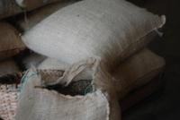 Besuch einer Kaffee-Plantage