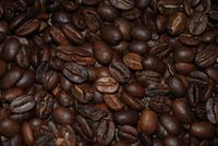 Besuch einer Kaffee-Plantage